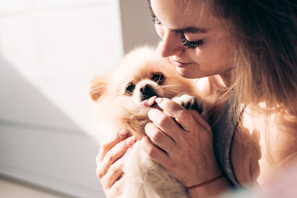 chiot et sa maitresse