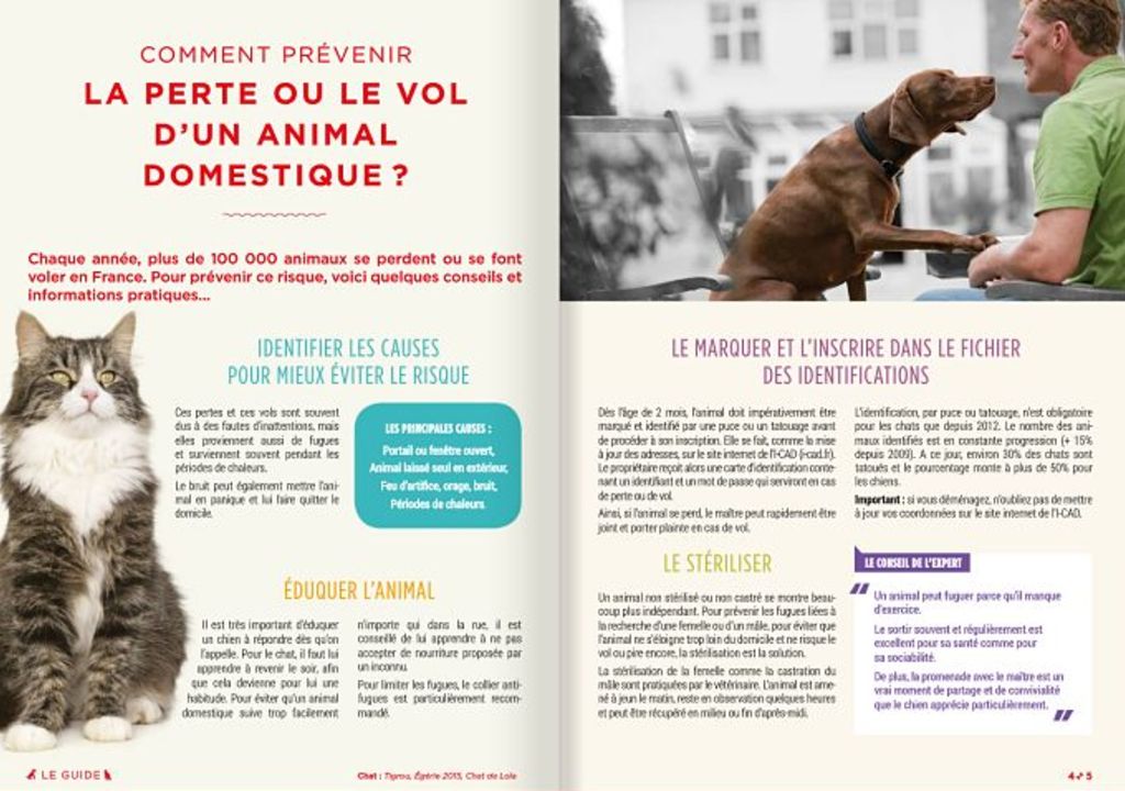 chien chat perdu guide purina