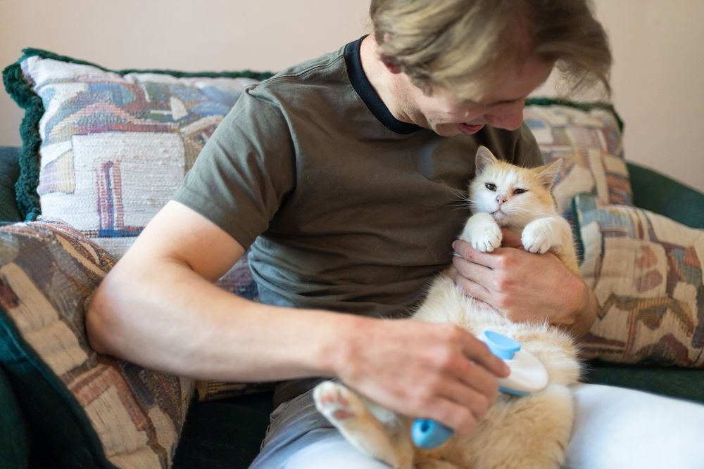 Ein Tierfreund hilft seiner Katze mit einem Asthma-Inhalator.