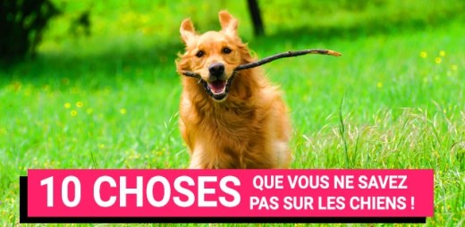 10 choses que vous ne savez (peut-être) pas sur le voyage avec