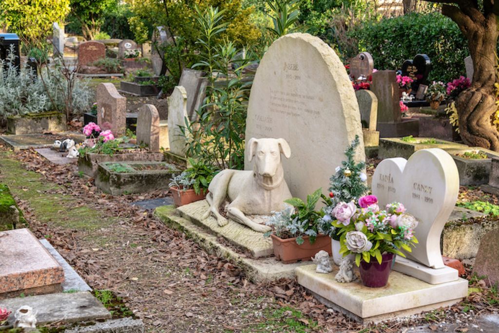 cimetiere_pour_chiens