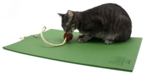 Tapis de Yoga pour chat : un accessoire pour chats zen et joueurs