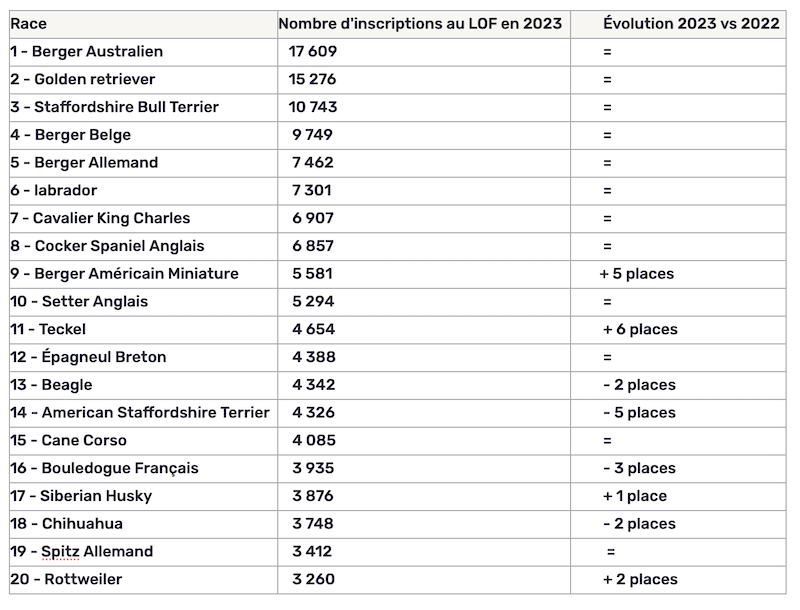 Top 20 chiens preferes 2023