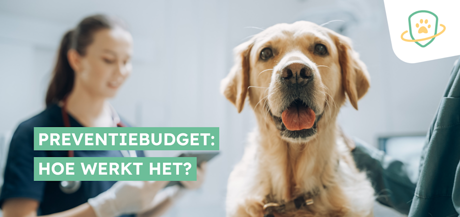 Visuel Article Budget Prévention SV BE FL 2025