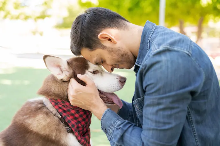 1 Comment_dire_je_t _aime_a_mon_chien