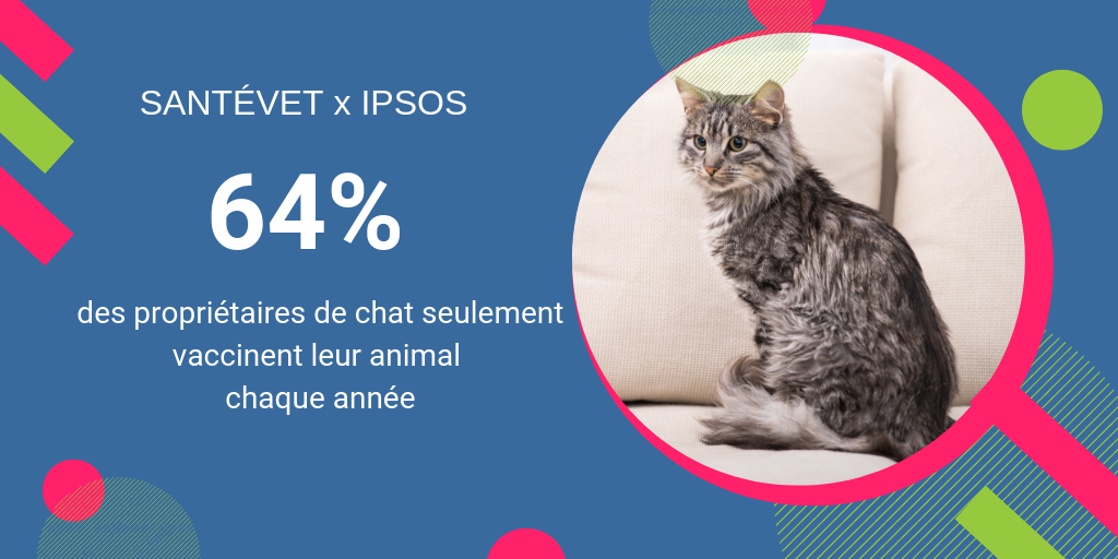 les chats moins bien vaccinés que les chiens