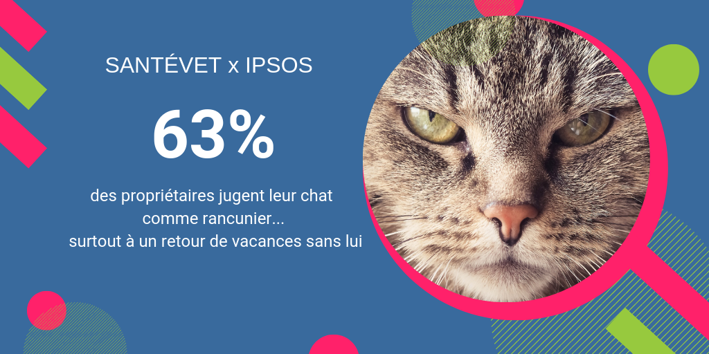 le chat un animal rancunier ?