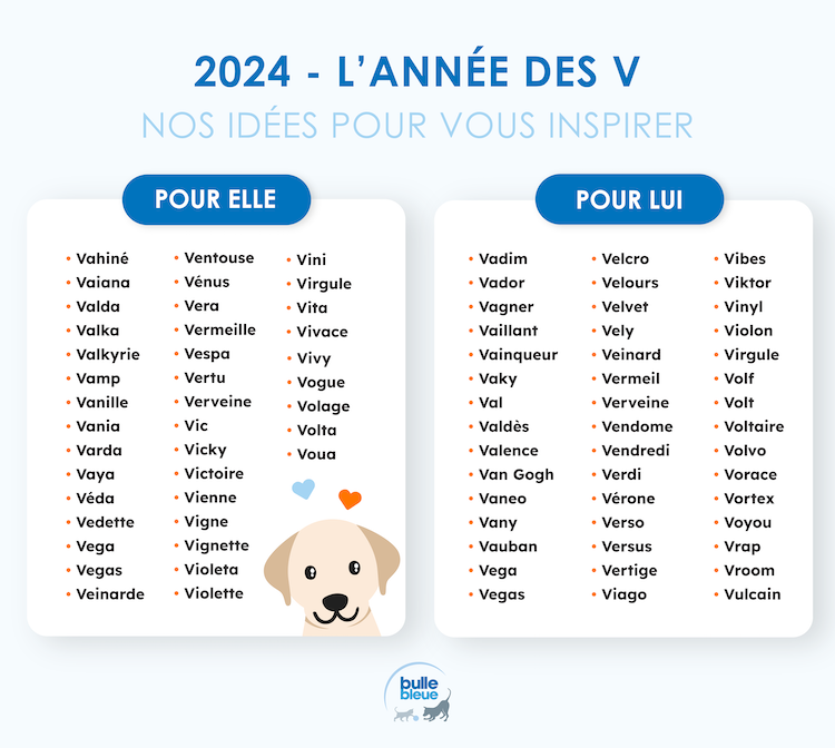 Lettre V pour les chiens nés en 2024.jpeg