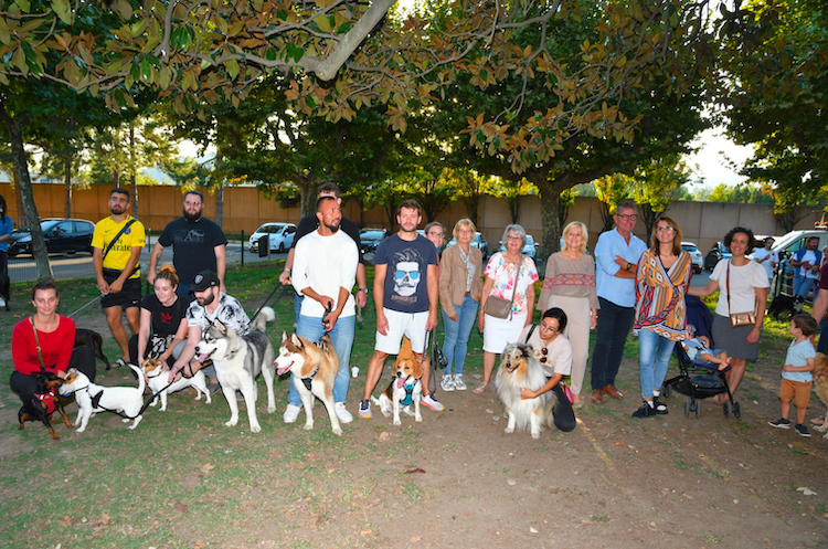 chiens_chats_Bourg_les_Valence