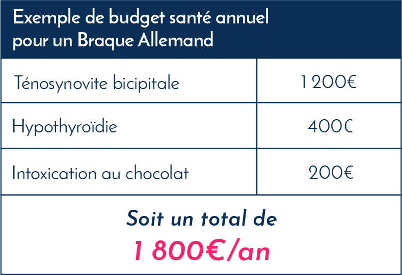 exemples_frais_vétérinaires_braque_allemand