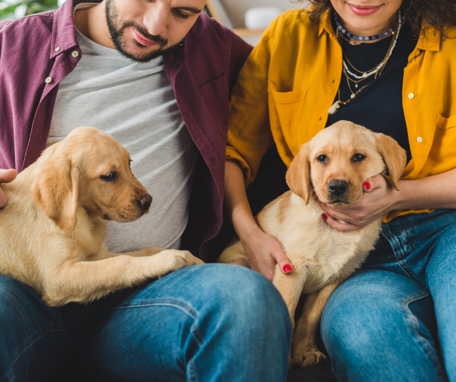 espérance de vie des chiens suivant leur race