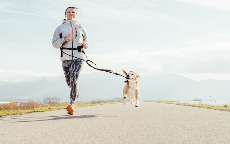 choisir un chien de sport