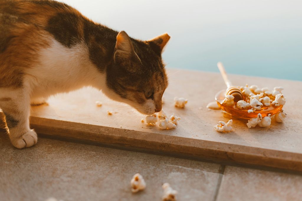 chat sentant de la nourriture