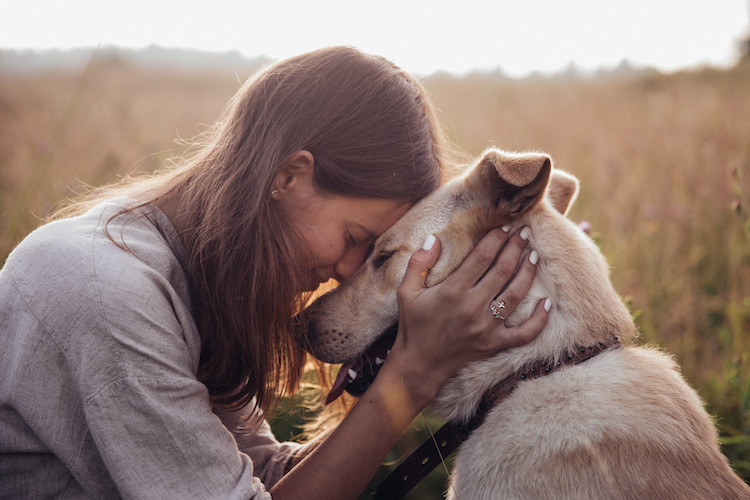 euthanasier son chien