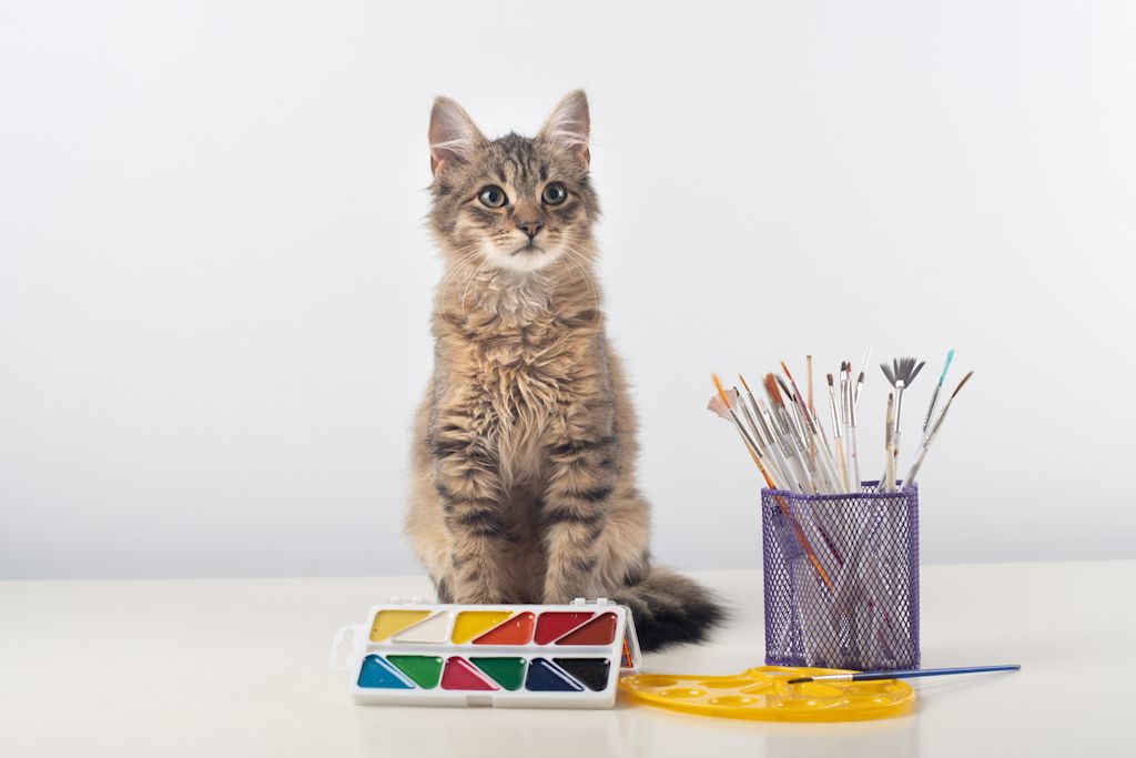 Chat qui a de la peinture
