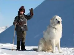 .santevet_Belle_et_Sebastien_2013___Eric_Travers___RADAR_FILMS_-_EPITHETE_FILMS_-_GAUMONT_-_M6_FILMS_-_RHONE-ALPES_CINEMA_s