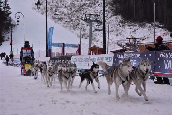 trop d'efforts pour les chiens des mushers