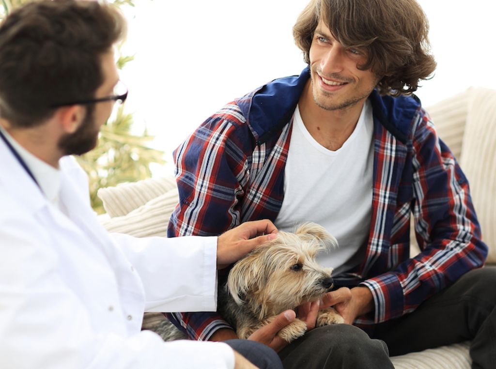 faire_confiance_a_son_veterinaire