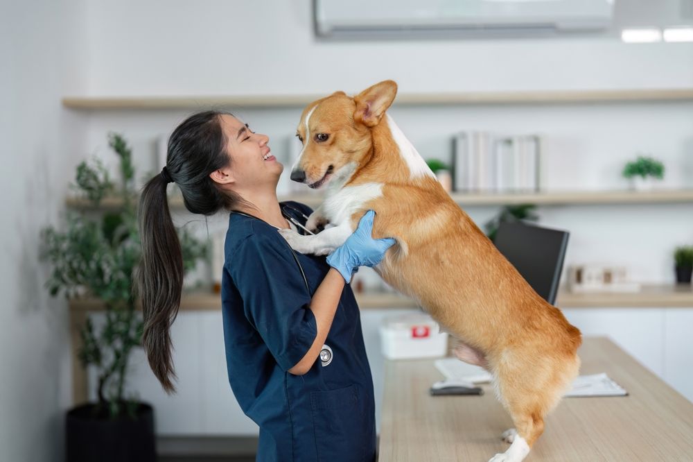 Cosa comprende il bonus
