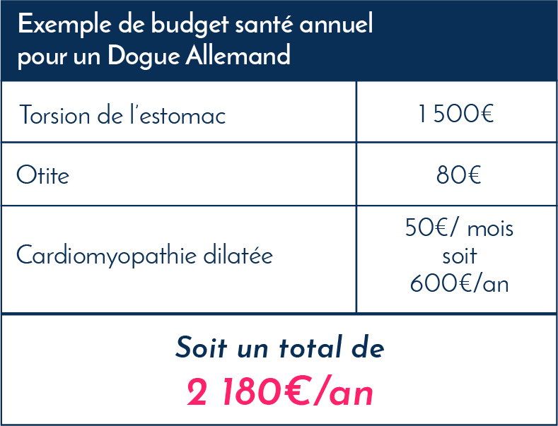 dogue_allemand_exemples_frais_vétérinaires