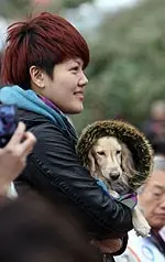 cours pour les maîtres de chiens à Taïwan