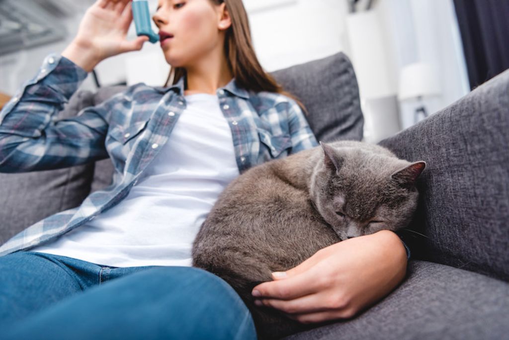 asthme et allergie au chat