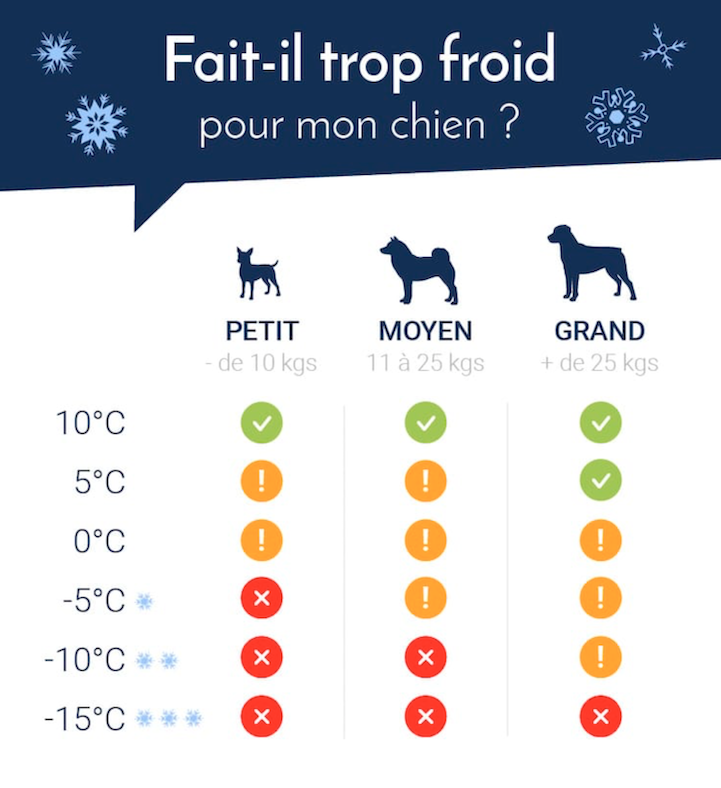 chien_froid_A2