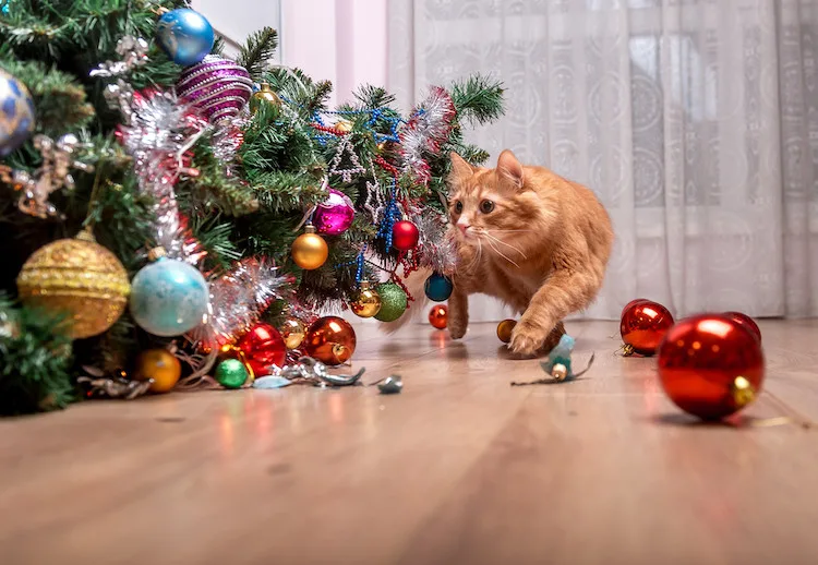 Comment protéger et entreposer vos boules de Noël