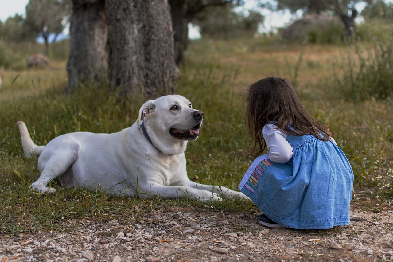 Chien et enfant