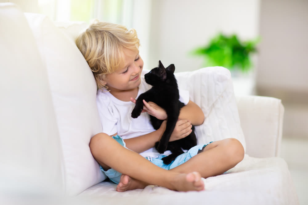 bambino con gatto