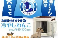 Canicule : mettre son chien ou chat au réfrigérateur ! - Actualité - Chien