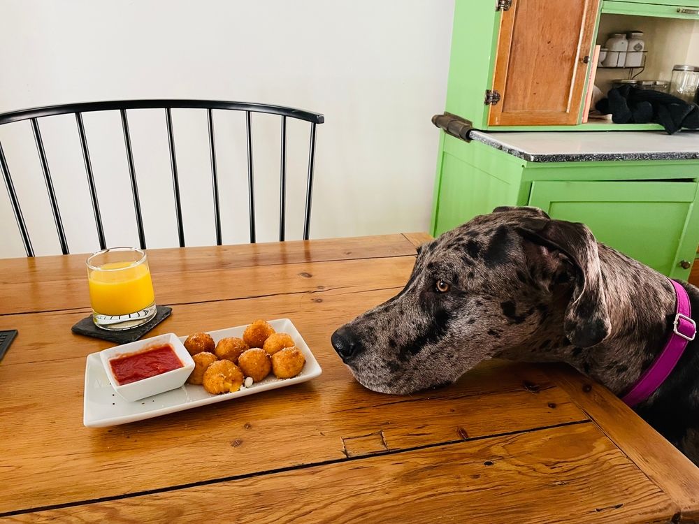 cuanto cuesta la cirugia para la obstruccion intestinal de un perro