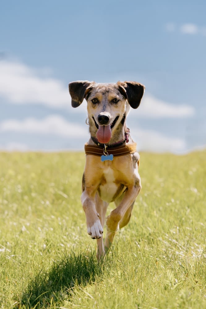 Auch Sonneneinstrahlung ist ein Faktor
