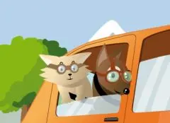 Des sangsues pour réparer une morsure de chien - Actualité - Chien