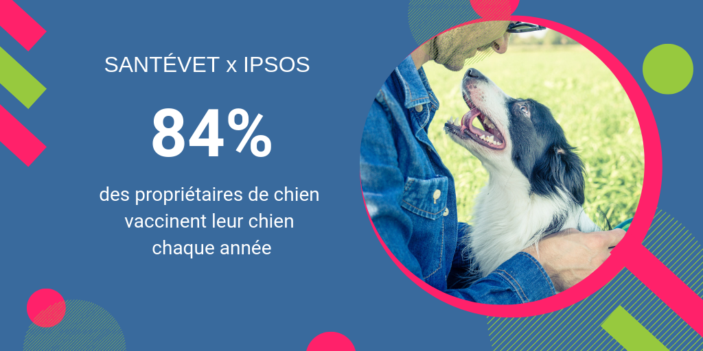 Les chiens sont plus vaccinés que les chats