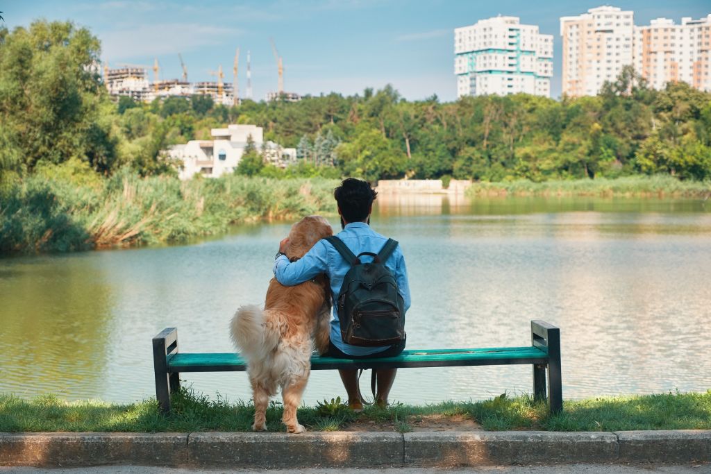 cane e umano su una panchina