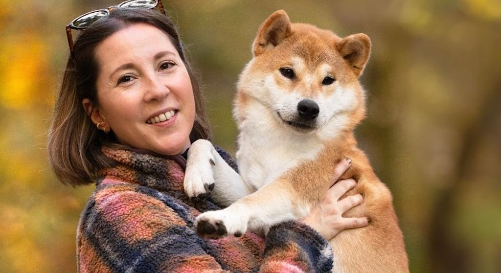 Yuzu, le Shiba Inu