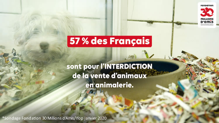 municipales_2020_vente_en_animaleries