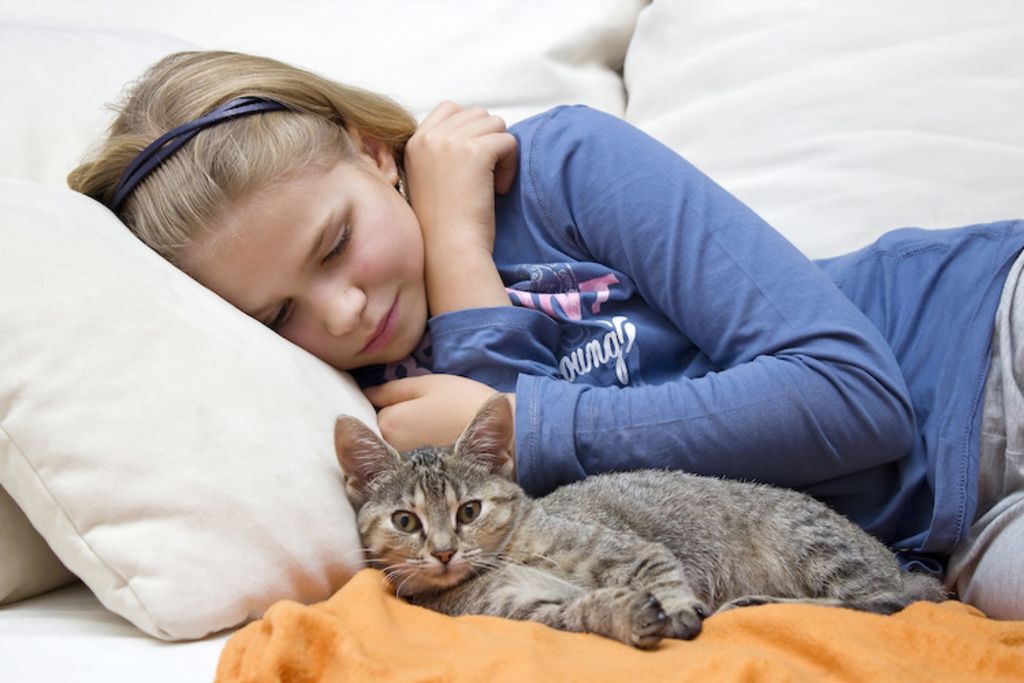 traitement enfant allergie au chat