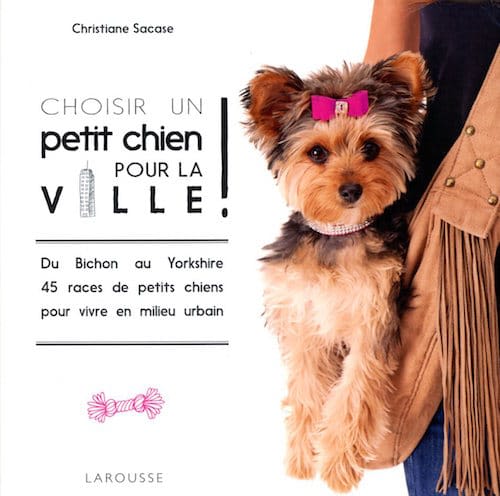 2-choisir un petit chien pour la ville