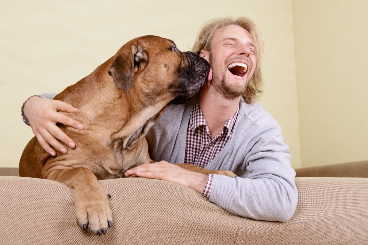 Tu perro te quiere por interés? - Santévet