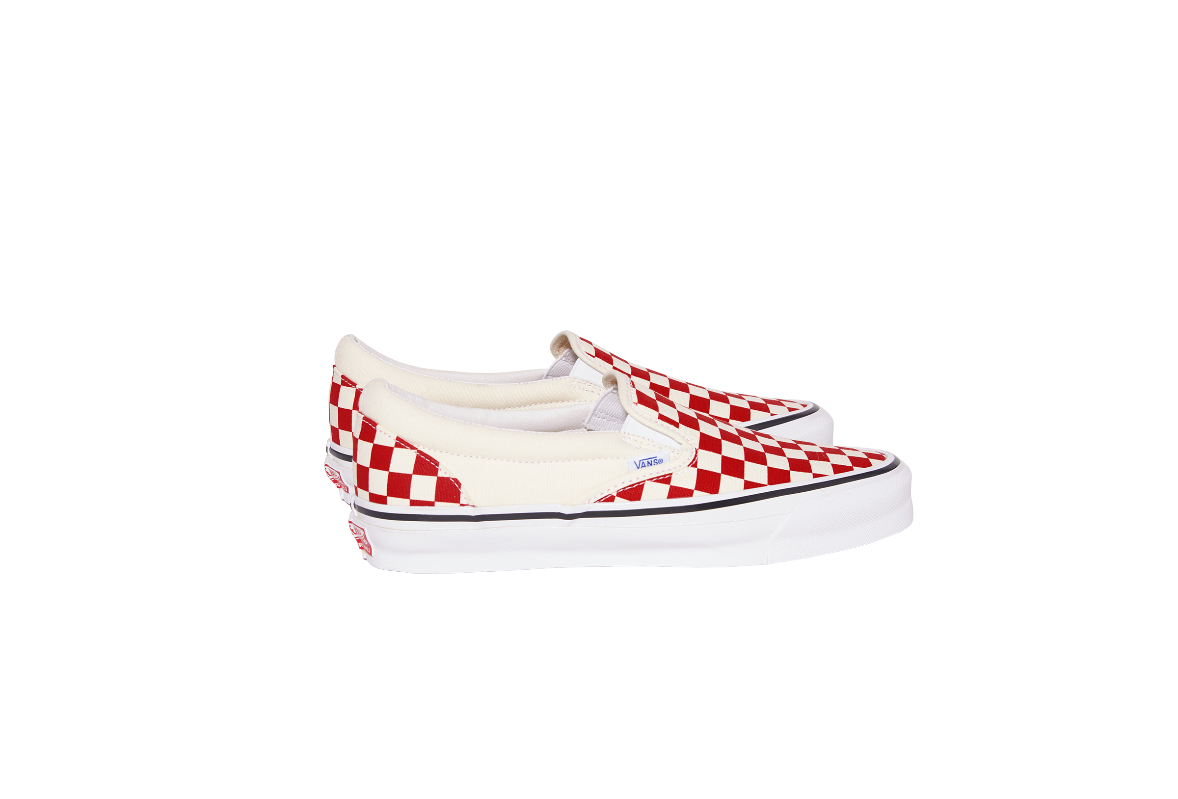 vans gucci