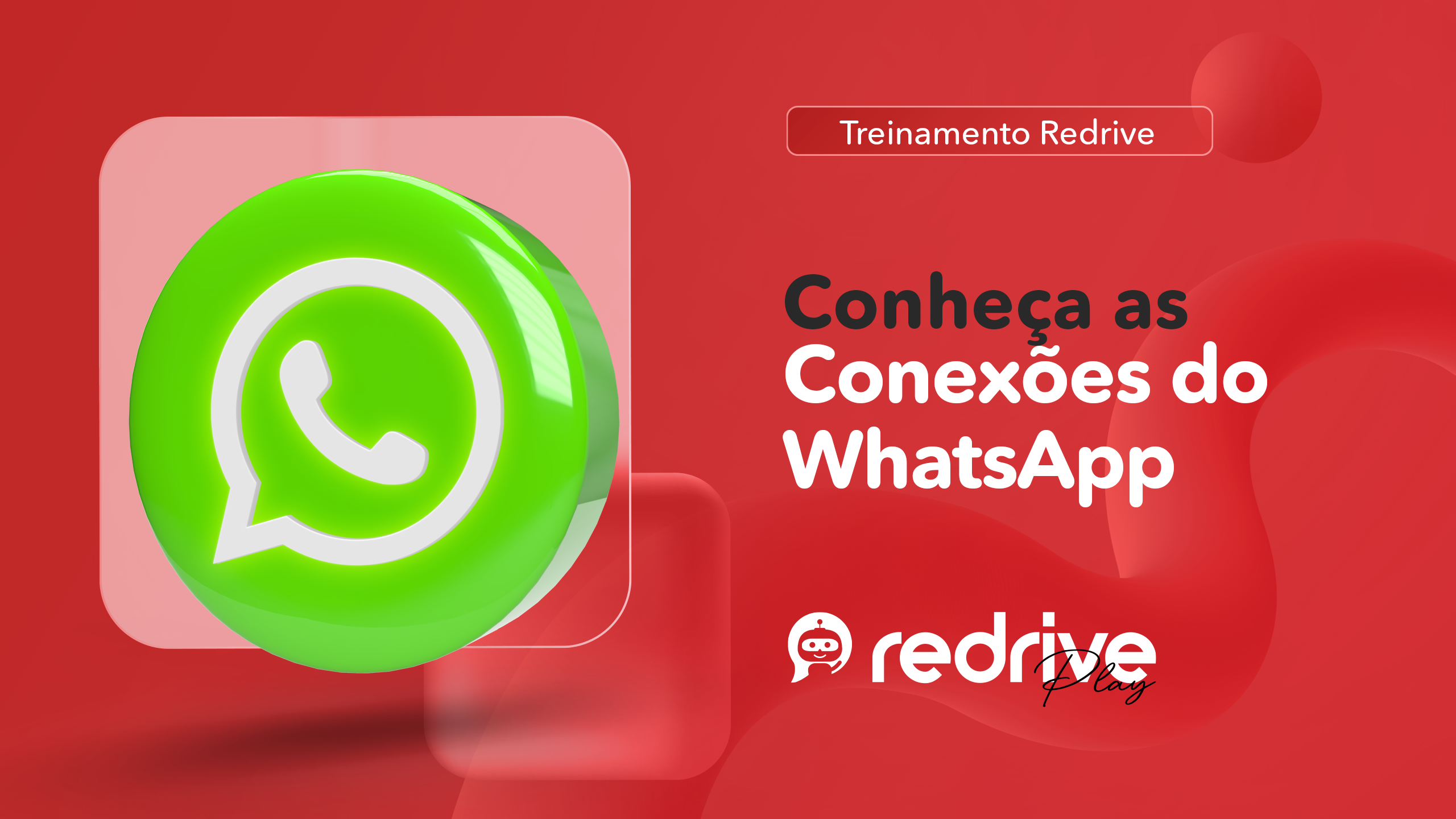 Entendendo as Conexões do Whatsapp