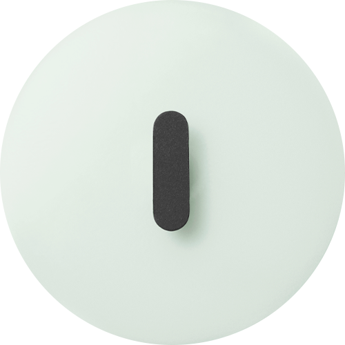 Cast Iron - Light Mist