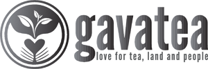 gavatea300