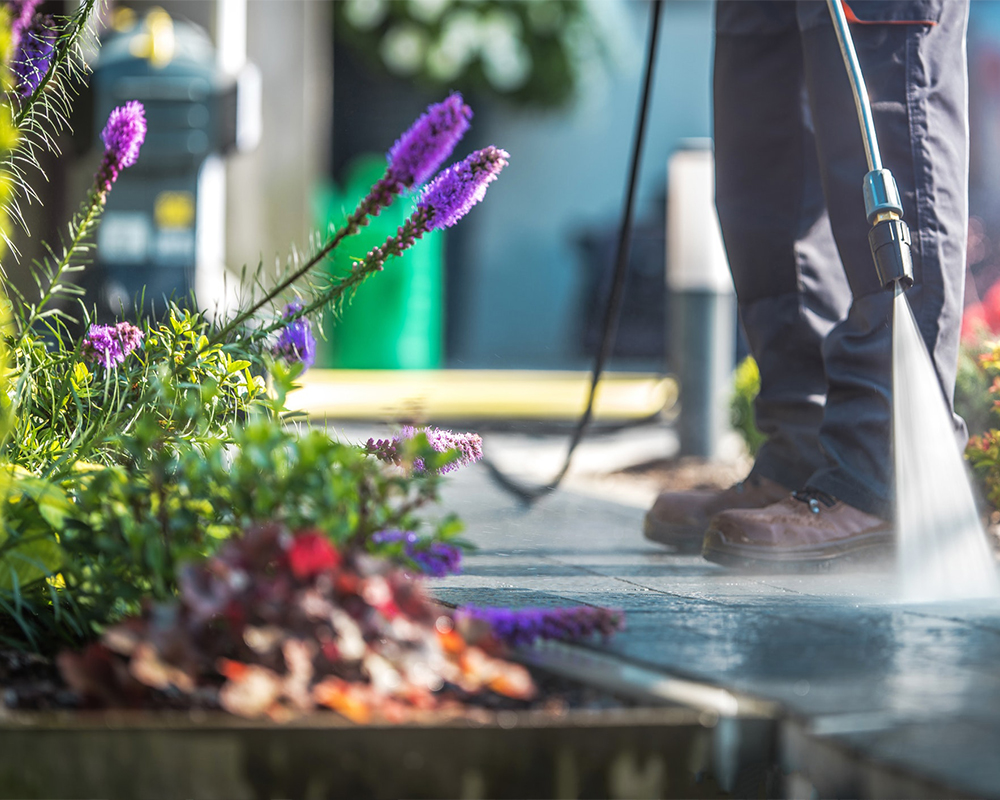 Divine Sanctuary Keepers