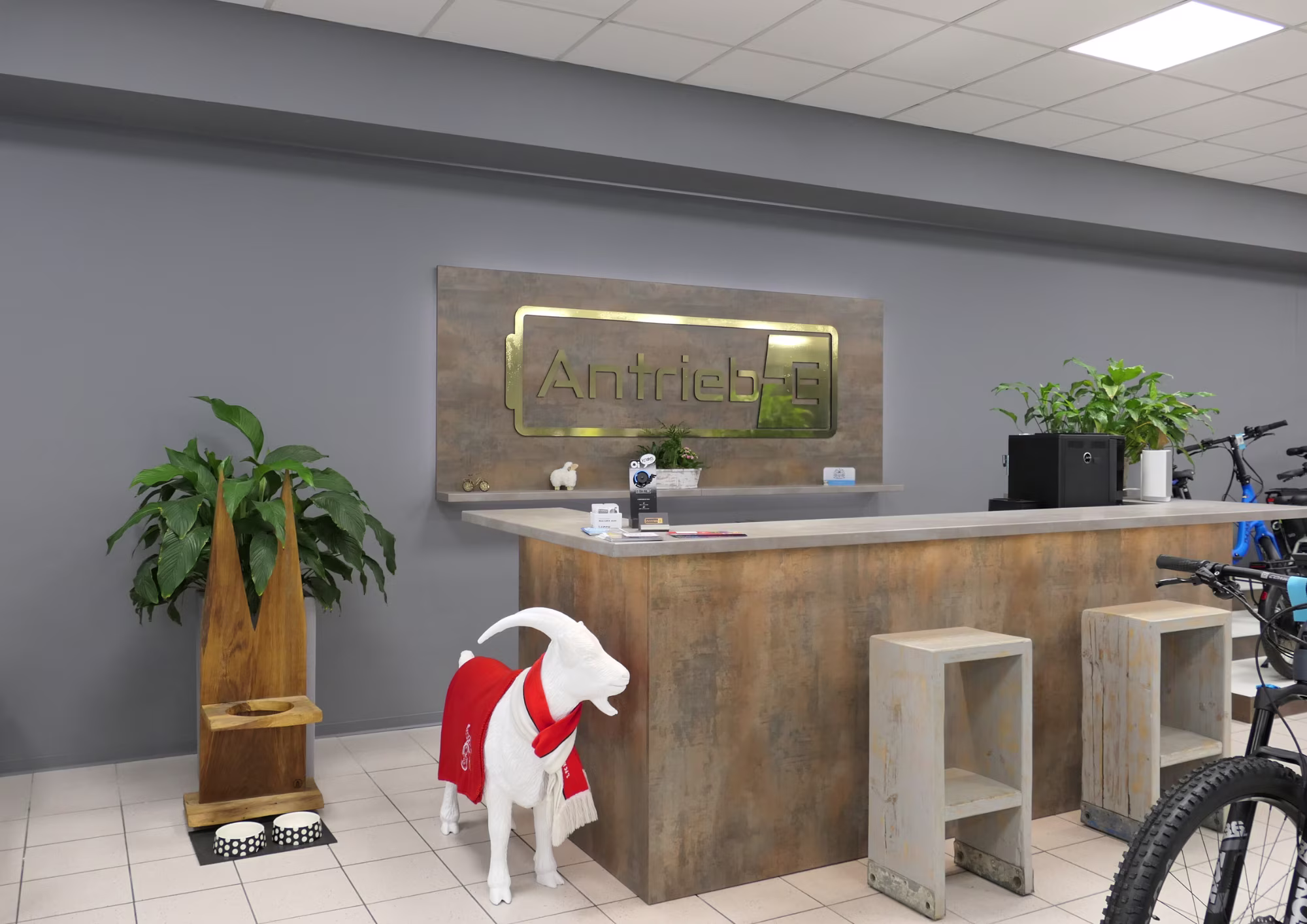 Shop Bonner Straße 3 (1).png