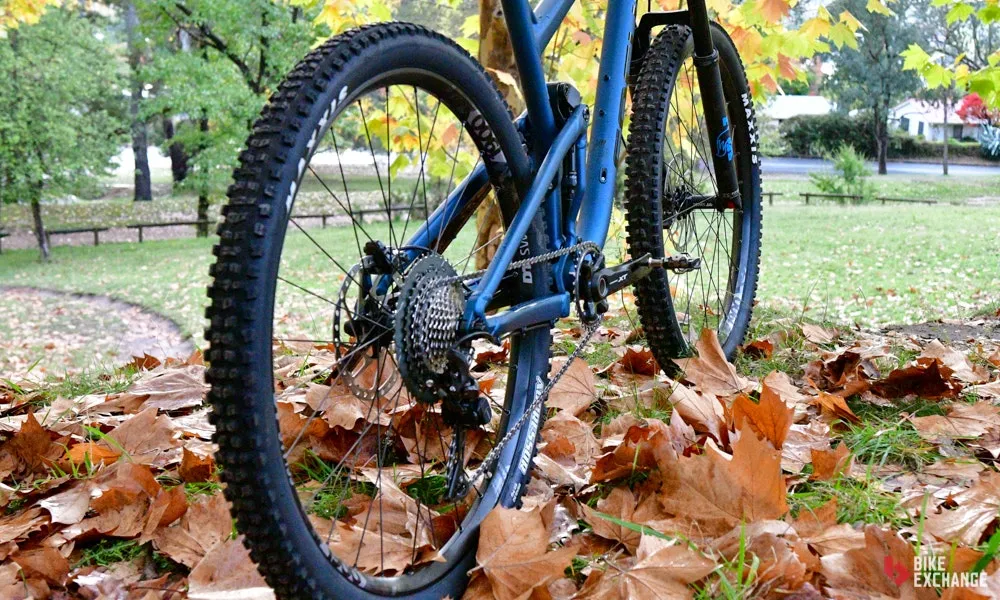 Image Focus MTB wheel back