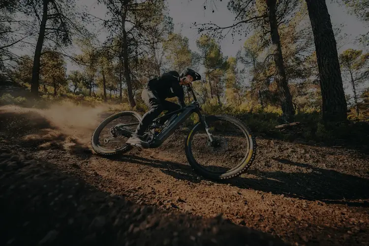 mondraker-tile_small.webp