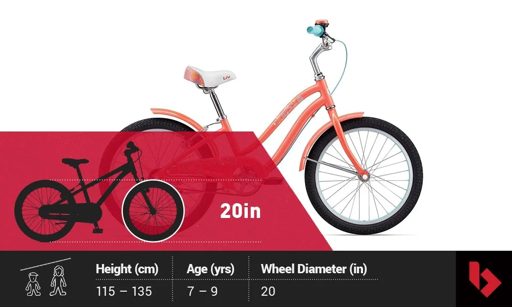 Image 20 inch Kids bike